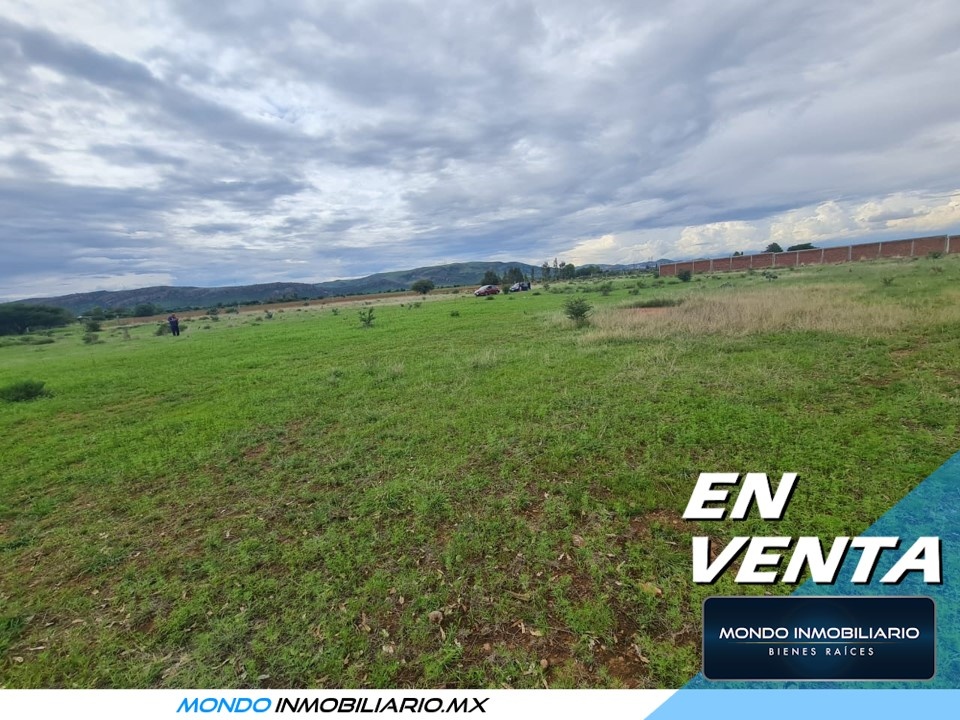 TERRENO CAMPESTRE EN SAN RAMON IDEAL PARA QUINTAS - Mondo Inmobiliario