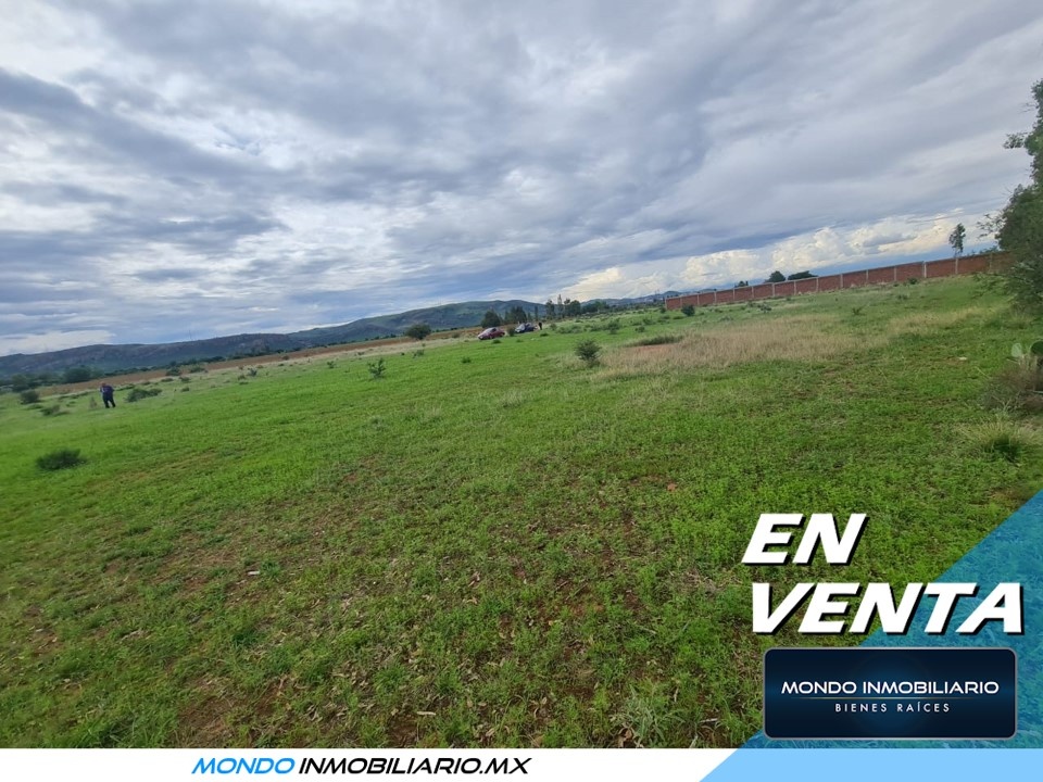 TERRENO CAMPESTRE EN SAN RAMON IDEAL PARA QUINTAS - Mondo Inmobiliario